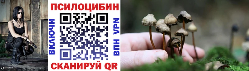 Псилоцибиновые грибы MAGIC MUSHROOMS  сколько стоит  Снежинск 