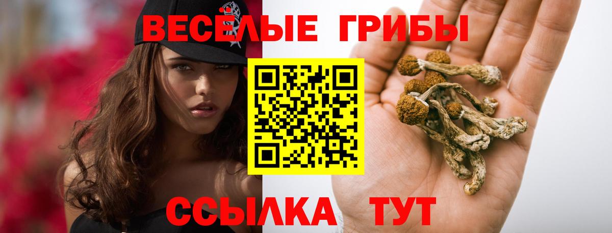Галлюциногенные грибы ЛСД Снежинск